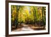 Goose Pond Lane I-Alan Hausenflock-Framed Photographic Print