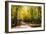 Goose Pond Lane I-Alan Hausenflock-Framed Photographic Print