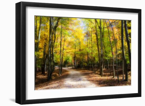 Goose Pond Lane I-Alan Hausenflock-Framed Photographic Print