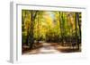 Goose Pond Lane I-Alan Hausenflock-Framed Photographic Print