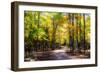 Goose Pond Lane II-Alan Hausenflock-Framed Photographic Print