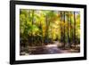 Goose Pond Lane II-Alan Hausenflock-Framed Photographic Print