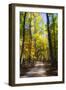 Goose Pond Lane III-Alan Hausenflock-Framed Photographic Print