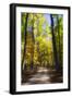 Goose Pond Lane III-Alan Hausenflock-Framed Photographic Print