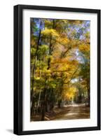 Goose Pond Lane IV-Alan Hausenflock-Framed Photographic Print