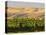 Goose Ridge Vineyards and Estate Winery, Richland, Washington, USA-Richard Duval-Stretched Canvas