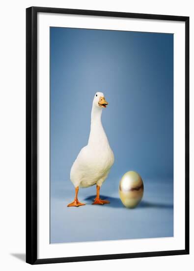 Goose Standing Beside Golden Egg, Studio Shot-null-Framed Photo