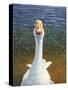 Goose-James W. Johnson-Stretched Canvas
