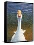 Goose-James W. Johnson-Framed Stretched Canvas