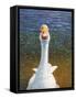 Goose-James W. Johnson-Framed Stretched Canvas