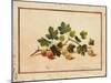 Gooseberries, 1818-Fedor Petrovich Tolstoy-Mounted Giclee Print