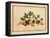 Gooseberries, 1818-Fedor Petrovich Tolstoy-Framed Stretched Canvas