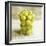 Gooseberries in a Glass-Ming Tang-evans-Framed Photographic Print