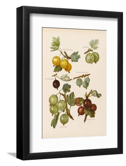 Premium Photographic Print, , large