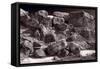 Gooseberry Badlands Wyoming BW-Steve Gadomski-Framed Stretched Canvas