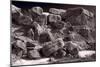 Gooseberry Badlands Wyoming BW-Steve Gadomski-Mounted Photographic Print