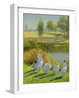 Gooseguard-Timothy Easton-Framed Giclee Print