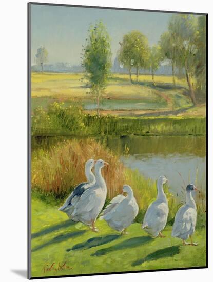 Gooseguard-Timothy Easton-Mounted Giclee Print