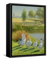 Gooseguard-Timothy Easton-Framed Stretched Canvas