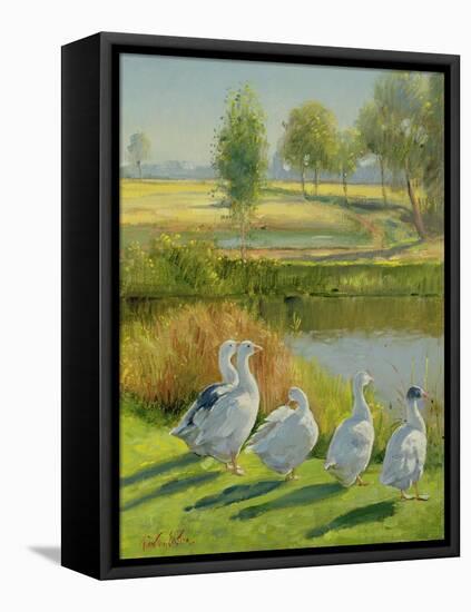 Gooseguard-Timothy Easton-Framed Stretched Canvas