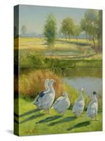 Gooseguard-Timothy Easton-Stretched Canvas