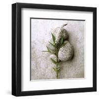 Gooseneck On Stone-Glen and Gayle Wans-Framed Giclee Print