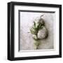 Gooseneck On Stone-Glen and Gayle Wans-Framed Giclee Print