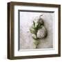 Gooseneck On Stone-Glen and Gayle Wans-Framed Giclee Print