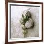 Gooseneck On Stone-Glen and Gayle Wans-Framed Giclee Print