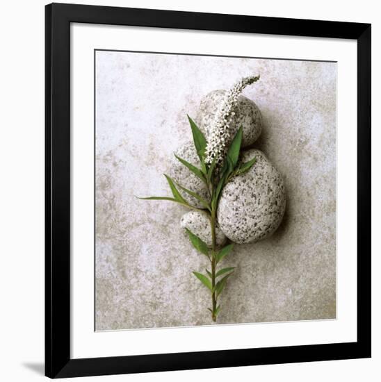 Gooseneck On Stone-Glen and Gayle Wans-Framed Giclee Print