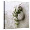 Gooseneck On Stone-Glen and Gayle Wans-Stretched Canvas