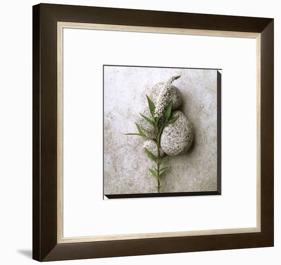 Gooseneck On Stone-Glen and Gayle Wans-Framed Stretched Canvas