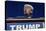 GOP 2016 Congress and Trump-Lm Otero-Stretched Canvas