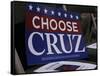 GOP 2016 Cruz-Sue Ogrocki-Framed Stretched Canvas