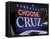 GOP 2016 Cruz-Sue Ogrocki-Framed Stretched Canvas