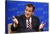 GOP 2016 Cruz-Steve Helber-Stretched Canvas