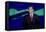 GOP 2016 Debate-David J Phillip-Framed Stretched Canvas