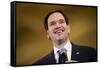 GOP 2016 Rubio-David Goldman-Framed Stretched Canvas