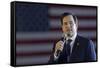 GOP 2016 Rubio-Wade Payne-Framed Stretched Canvas