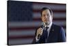 GOP 2016 Rubio-Wade Payne-Stretched Canvas