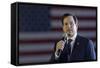 GOP 2016 Rubio-Wade Payne-Framed Stretched Canvas