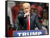 GOP 2016 Trump-Sue Ogrocki-Framed Stretched Canvas