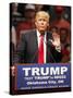 GOP 2016 Trump-Sue Ogrocki-Stretched Canvas