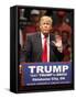 GOP 2016 Trump-Sue Ogrocki-Framed Stretched Canvas