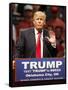 GOP 2016 Trump-Sue Ogrocki-Framed Stretched Canvas