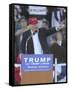 GOP 2016 Trump-John Bazemore-Framed Stretched Canvas