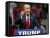 GOP 2016 Trump-Sue Ogrocki-Framed Stretched Canvas