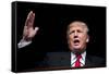 GOP 2016 Trump-David Goldman-Framed Stretched Canvas