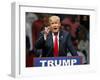 GOP 2016 Trump-Sue Ogrocki-Framed Photographic Print