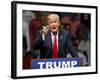 GOP 2016 Trump-Sue Ogrocki-Framed Photographic Print